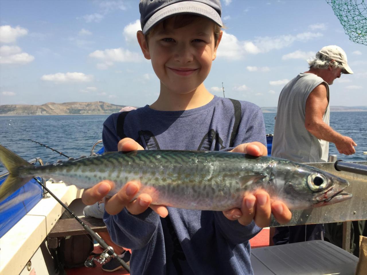 Atlantic Chubb Mackerel