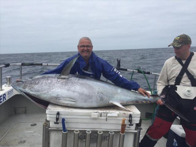 Bluefin Tuna