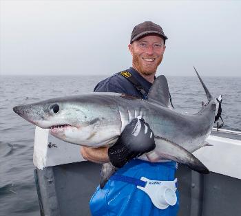 Blue Shark Skipper Padrig Rees's Photo