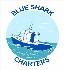 Blue Shark Sponsor's Logo