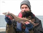 Black-Mouthed Dogfish