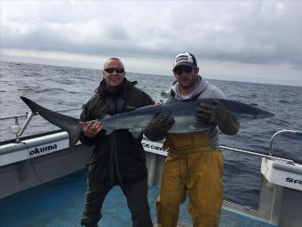 80 lb Blue Shark by Kevin McKie