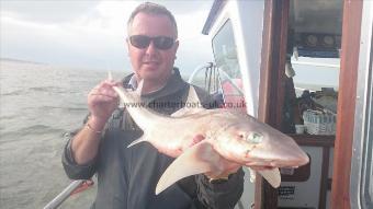 7 lb Starry Smooth-hound by John from Broadstairs