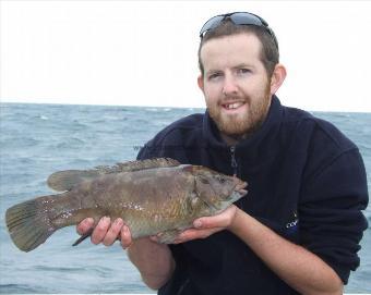 4 lb 4 oz Ballan Wrasse by Jon Trevett