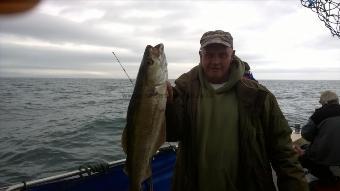 6 lb Pollock by Stephen Wake