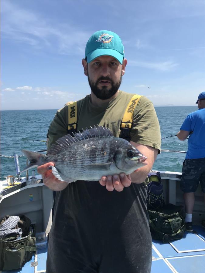 2 lb 1 oz Black Sea Bream by Anthony