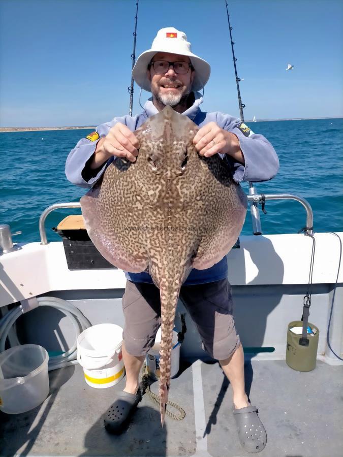 17 lb 8 oz Thornback Ray by Nick lark