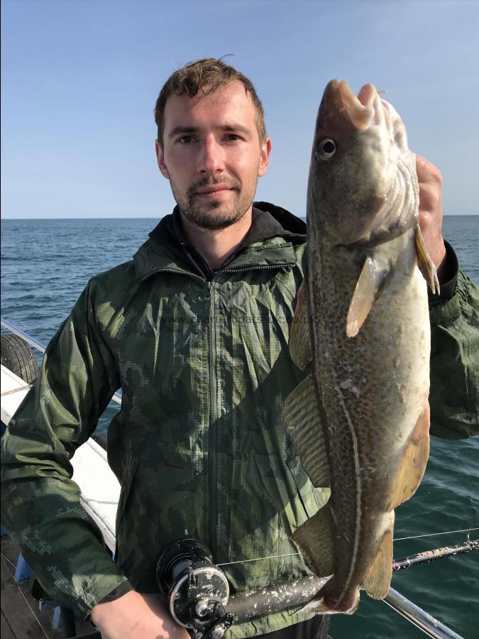 7 lb Cod by Mind from Hull a cod wrecking 23/8/2018
