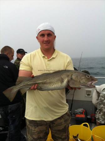 11 lb 6 oz Cod by Stephen O'Brien