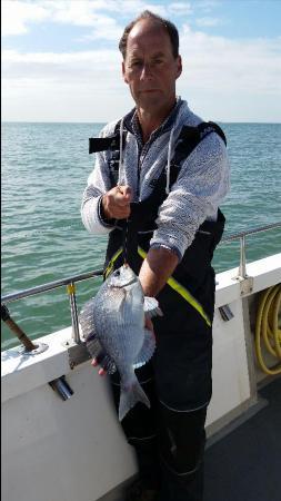 2 lb Black Sea Bream by Unknown