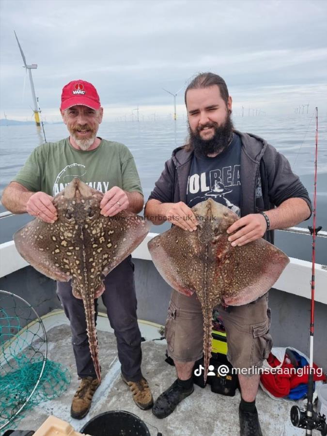 12 lb Thornback Ray by Unknown