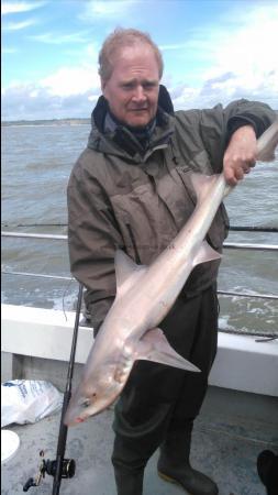 11 lb Starry Smooth-hound by Luke