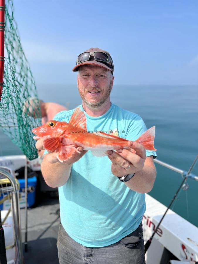 1 lb Red Gurnard by Martin Rowlands