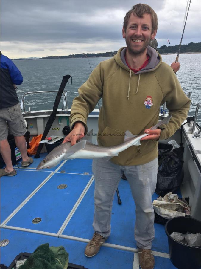 5 lb Starry Smooth-hound by Ian