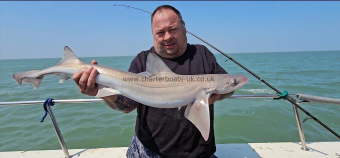 10 lb 8 oz Starry Smooth-hound by Phil