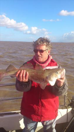 6 lb Cod by peter lewis