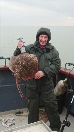 9 lb Thornback Ray by Unknown