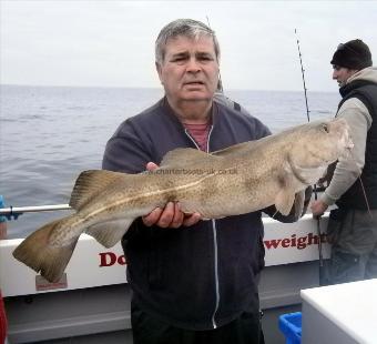 13 lb Cod by Unknown