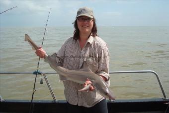 11 lb 8 oz Smooth-hound by julia