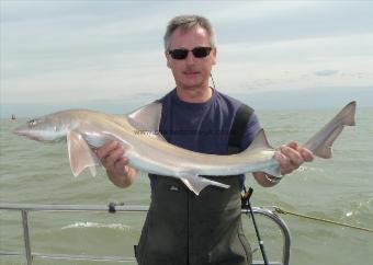 7 lb 6 oz Smooth-hound (Common) by Bob Marshall