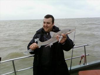 5 lb Smooth-hound (Common) by nick lay