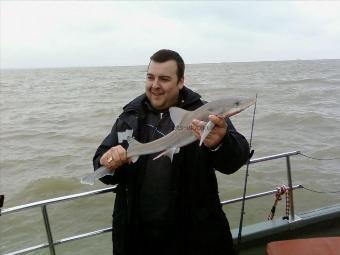 5 lb Smooth-hound by nick lay
