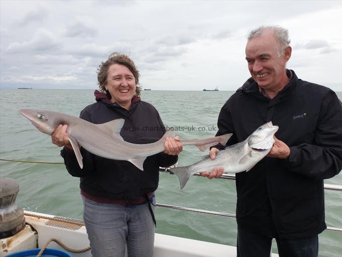 8 lb Smooth-hound by Bob Marshall