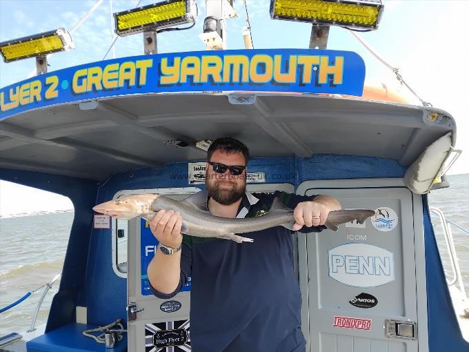 8 lb Smooth-hound by Will Love