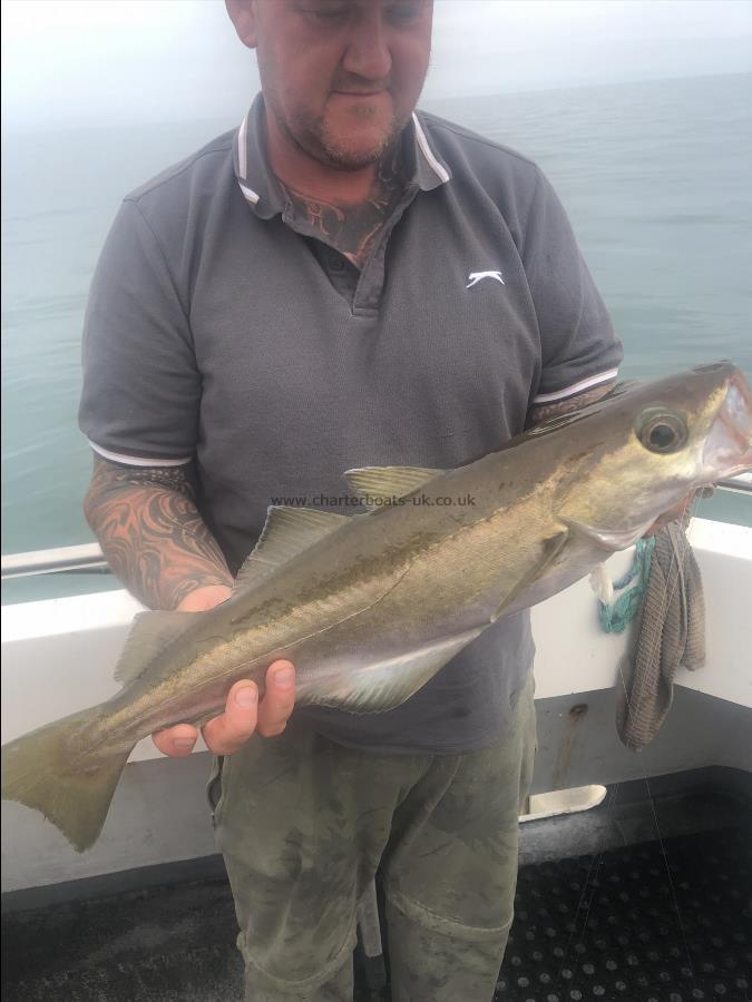 5 lb Pollock by Unknown