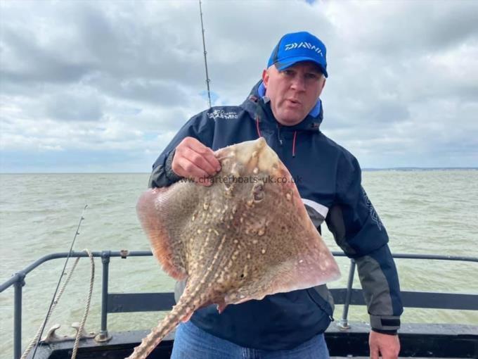 8 lb Thornback Ray by Unknown