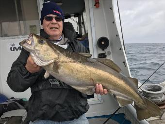 13 lb Pollock by Kevin McKie