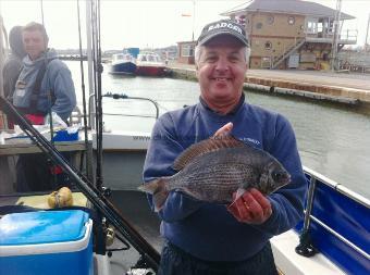 2 lb Black Sea Bream by Frank