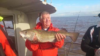 5 lb Cod by alan howells