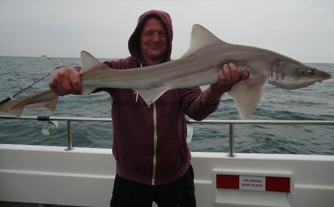 10 lb 1 oz Smooth-hound (Common) by unknown