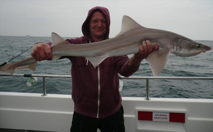10 lb 1 oz Smooth-hound by unknown