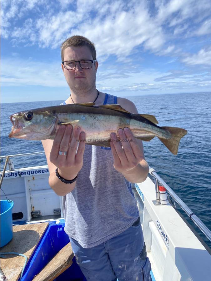 3 lb 8 oz Pollock by Charlie.