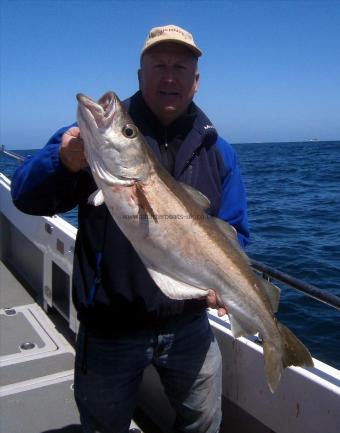 14 lb 4 oz Pollock by Phil