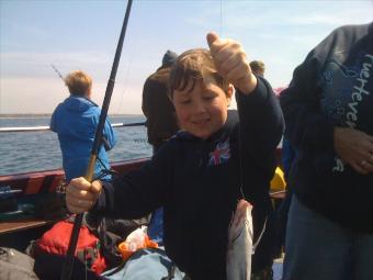 1 lb 4 oz Black Sea Bream by Young Customer budding Angler