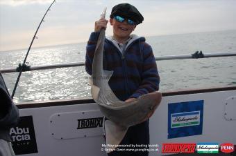 7 lb Starry Smooth-hound by Freddie