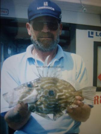 2 lb John Dory by Phil