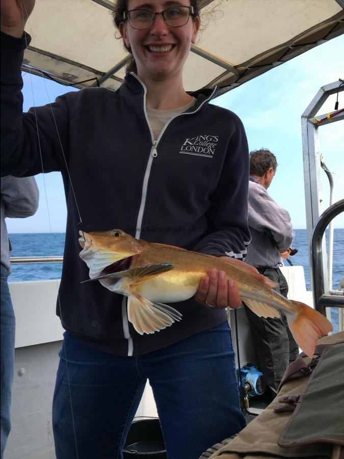 3 lb 9 oz Tub Gurnard by Unknown