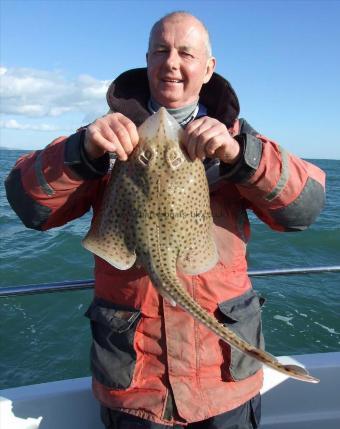5 lb Spotted Ray by David Metcalf