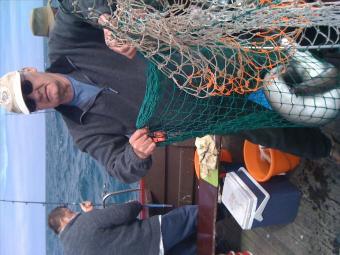 30 lb Conger Eel by Paul Green from Christchurch