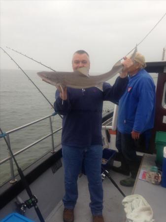 11 lb 3 oz Starry Smooth-hound by Peter franklin