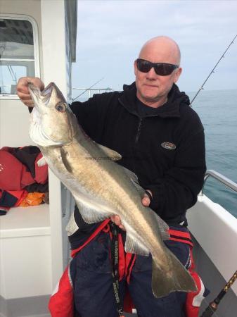 13 lb Pollock by Alan