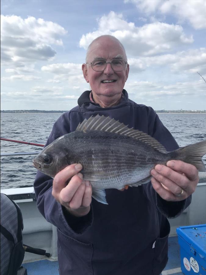 2 lb 6 oz Black Sea Bream by Tony P