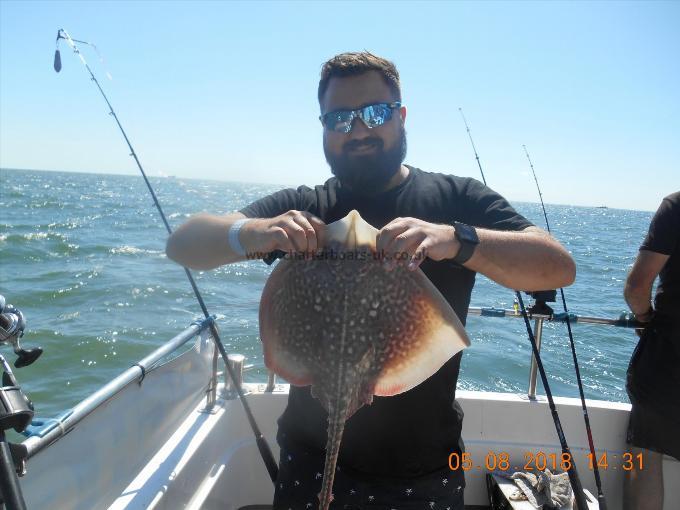 4 lb Thornback Ray by Paul