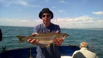 3 lb Pollock by Stephen Wake