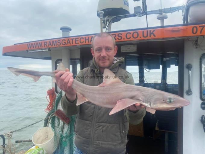 9 lb Smooth-hound by Unknown