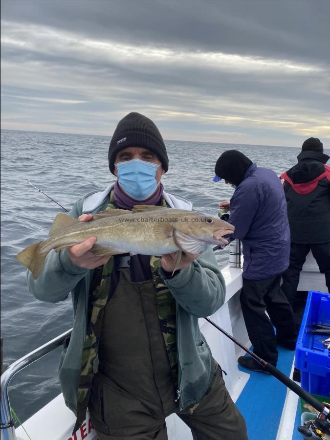 3 lb 6 oz Cod by Dave Makin.